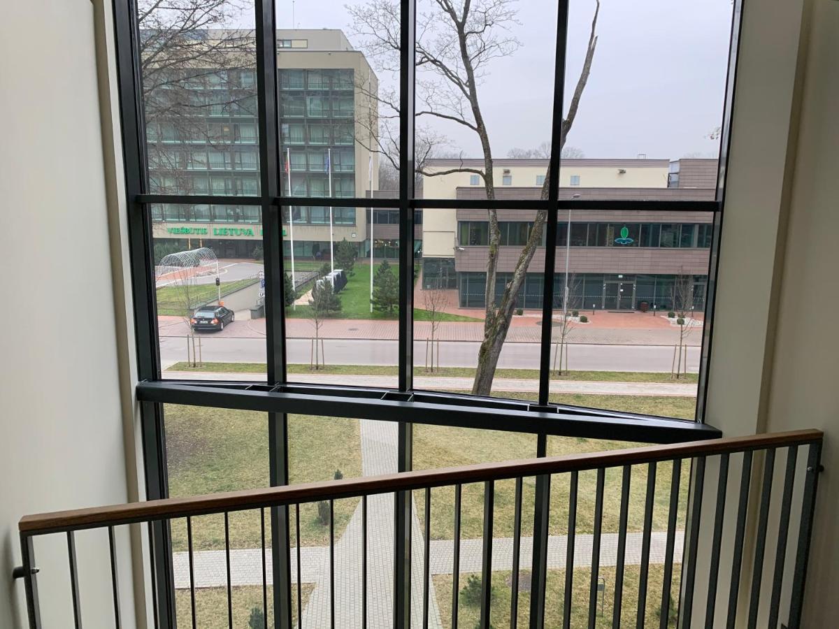 Broliu Studija Leilighet Druskininkai Eksteriør bilde